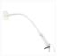 Light Minor Examination Provita Series 2 35W With Flexible Arm