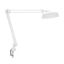 Light Table (Luxo) Led Flexible Arm With Table Clamp