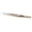 Dissecting Forceps Model Usa Standard Pattern 1:2 Teeth  (Reusable Autoclavable Stainless Steel) x 1